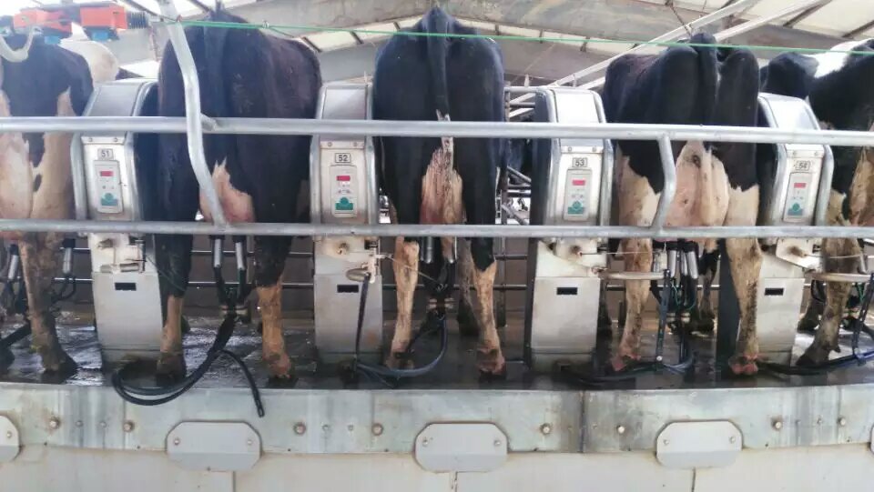 milk factory.jpg
